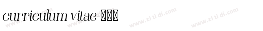 curriculum vitae字体转换
